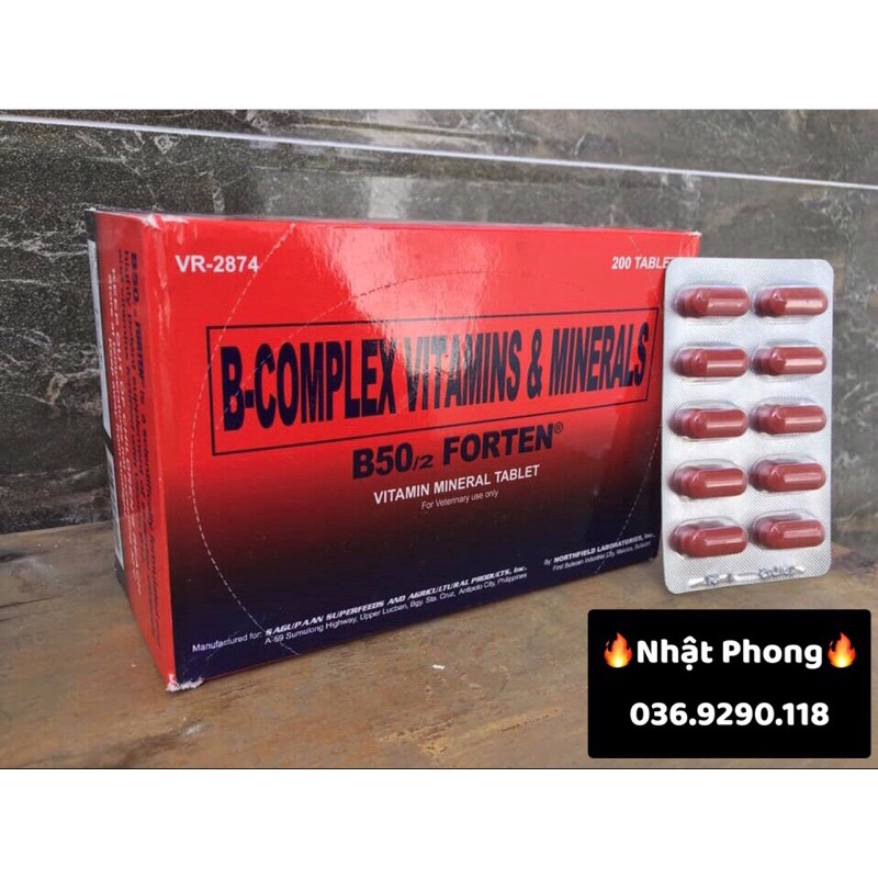 B50/2 FORTEN -