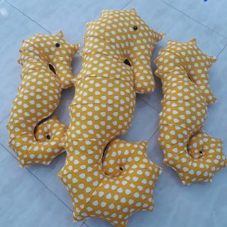 Cá ngựa vàng