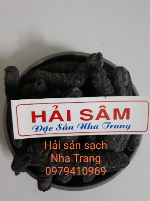 5 con hải sâm đen. Hải sâm Nha Trang loại đặc biệt