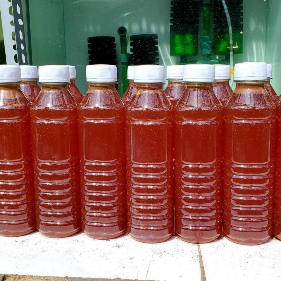 Chai 330ml Vi khuẩn quang hợp Psb làm trong, sạch nước xử lý chất thải hồ cá tép cảnh thủy sinh