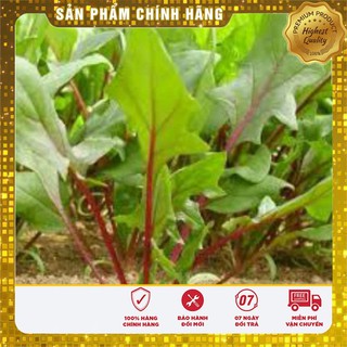 Hạt giống cải bó xôi đỏ ( gói 30 hạt)