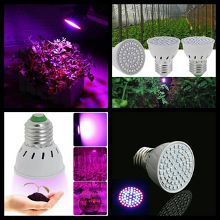 Bóng đèn LED trồng cây E27 12W 72 SMD