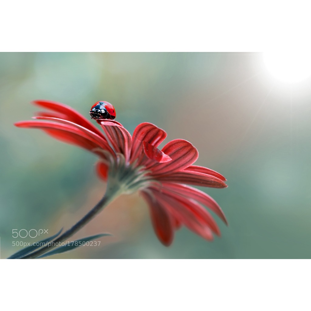 Bộ máy ảnh Nikon D90 kèm ống kính AF 28-80mm F3.3-5.6