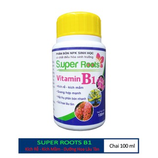 Super Root B1 Kích Rễ - Kích Mầm - Giữ Hoa Lâu Tàn