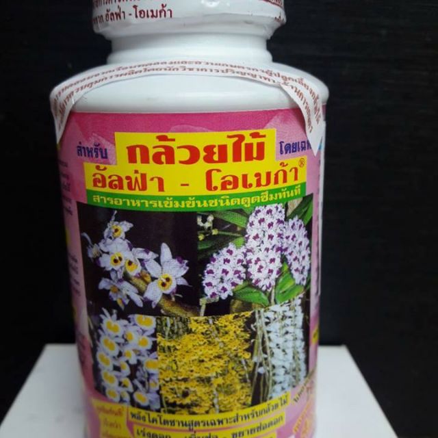 [FREESHIP TỪ 50K] Combo 12 lọ kích hoa thái