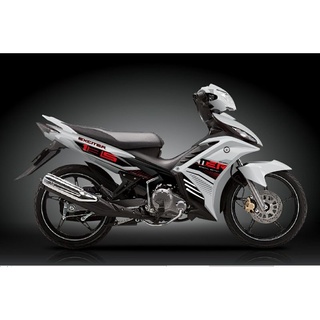 Tem rời dán xe ex 135