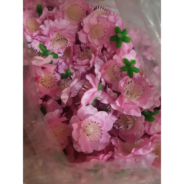 Hoa Đào Mai  Bán theo kg, mai đào bông lớn, Chùm hoa mai đào lớn, hoa mai đào trang trí tết
