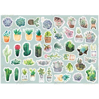 Hộp sticker Watercolor Cactus