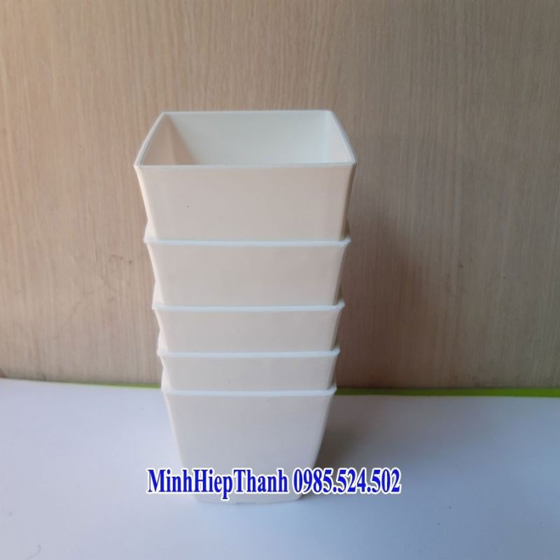 combo 10 chậu vuông v9, 10 châu vuông v12