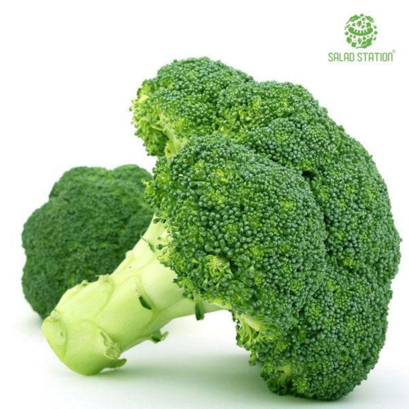 GÓI HẠT GIỐNG SÚP LƠ XANH