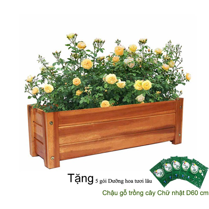 Chậu gỗ trồng cây, chữ nhật, D60xR22xC20cm, gỗ Tràm chịu nước, tặng 1 hộp dưỡng hoa tươi lâu |Greenhome