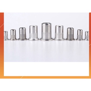 100 con _ốc tán rút inox 304