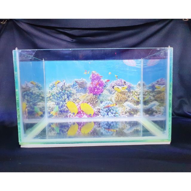 BỂ CÁ 24X15X15CM KÍNH DÀY 5 LY KHÔNG KIỀNG DÁN TRANH SẴN