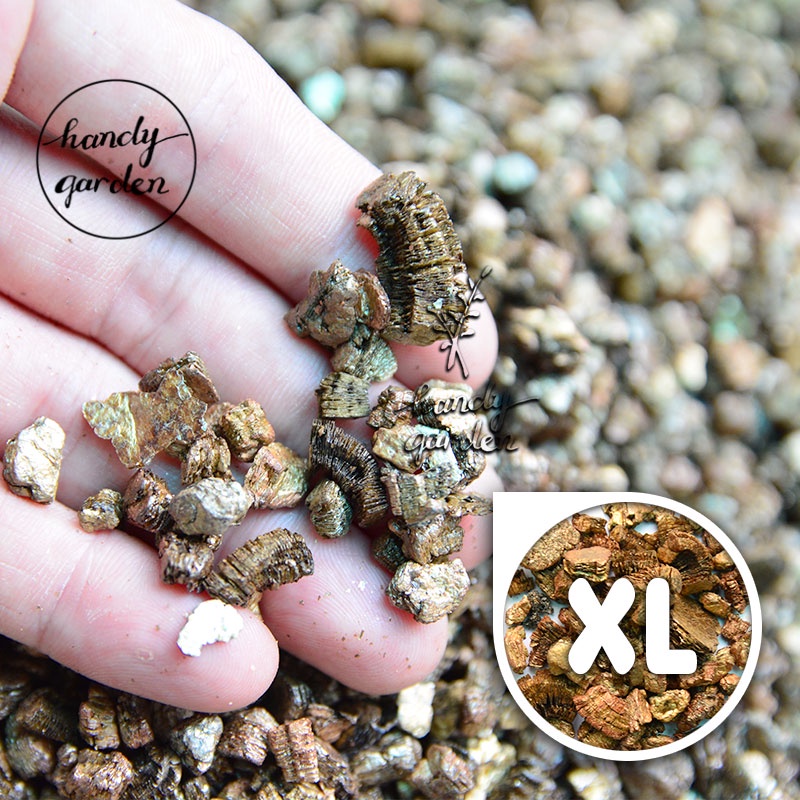 Đá Vermiculite (vơ-mi) size 1-2mm 2-5mm 5-7mm 7-12mm dùng trộn đất trồng sen đá vermi ươm mầm cây con, ấp trứng bò sát