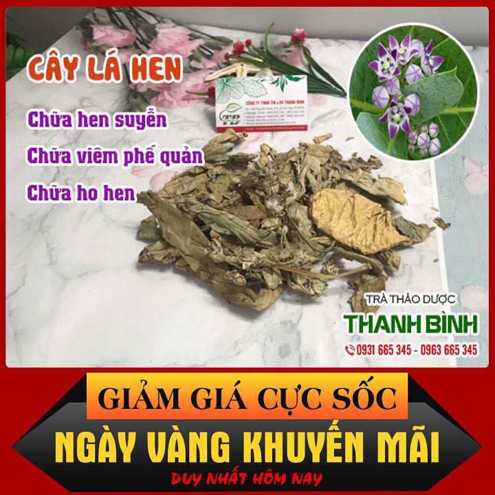 Cây Lá Hen Khô 500g Hàng Công Ty - Đông Y Thanh Bình