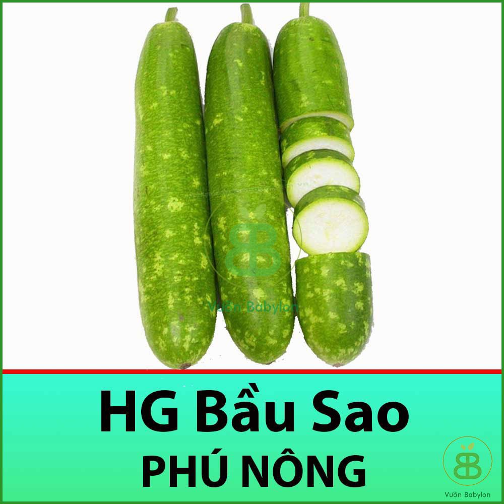 Hạt Giống Bầu Sao Quả Dài, Siêu Trái