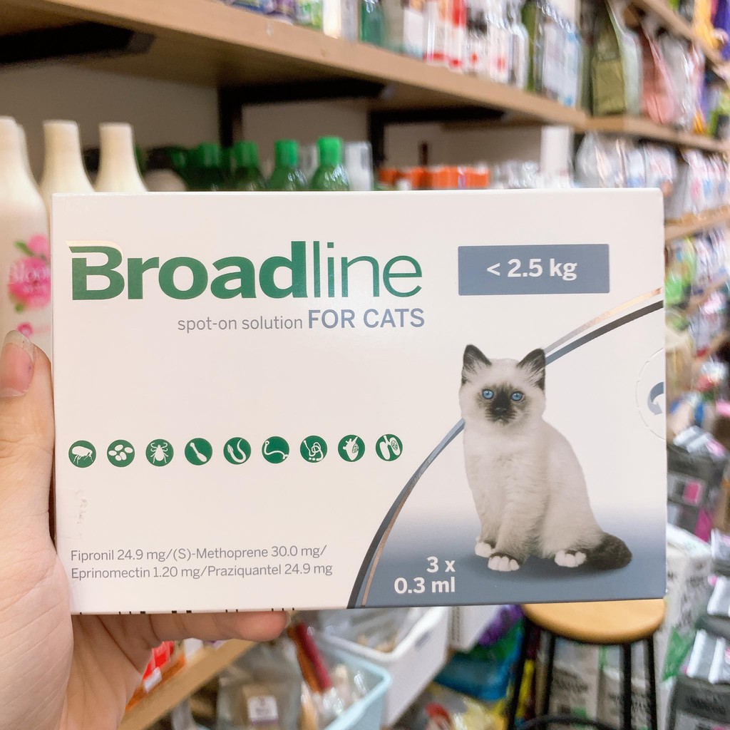 Nhỏ gáy Broadline phòng và trị nội ngoại ký sinh ở mèo