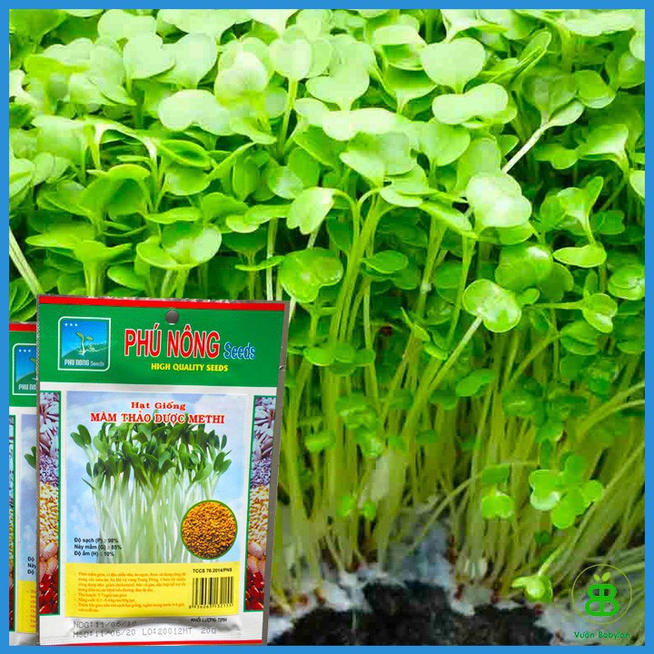 Hạt Giống Rau Mầm Thảo Dược Methi 20GR