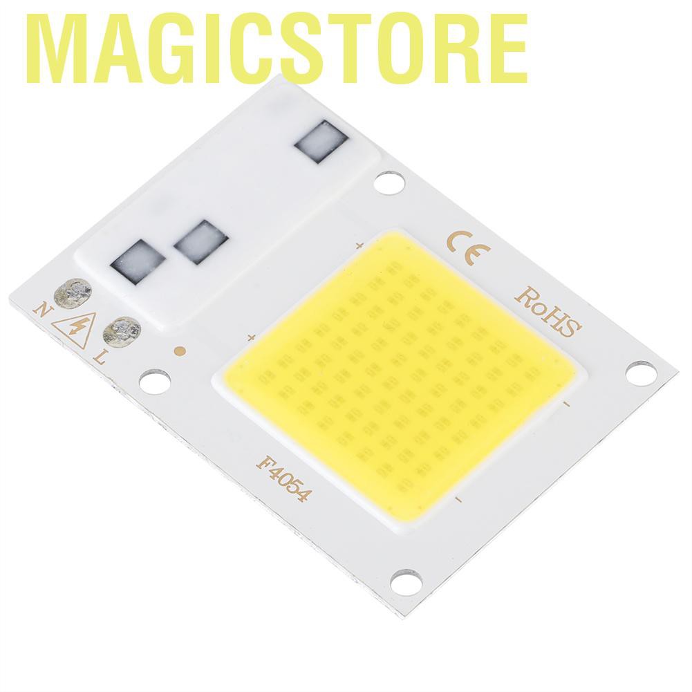 Chip Đèn Led Sân Vườn Ánh Sáng Trắng Cao Cấp