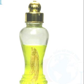 Bình Thủy Tinh 450ml -600ml - Không Van