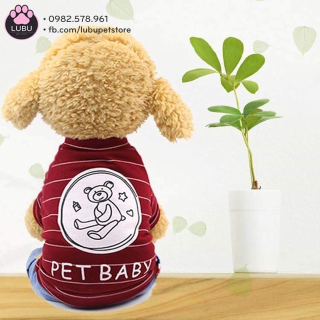 Bộ pet baby đáng yêu cho cún