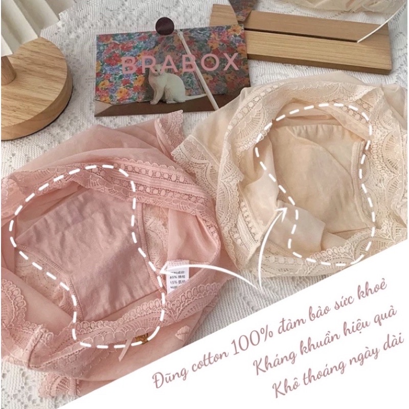 [Chọn màu, Che Tên sp] Quần lót nữ (nhiều size 43-60kg), ren lưới thông hơi thoáng mát Q13