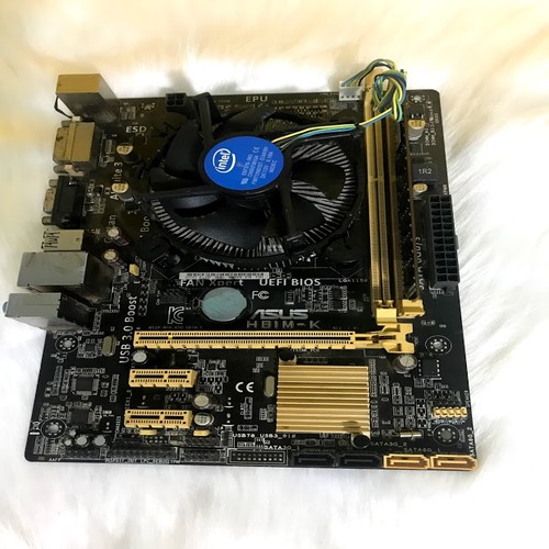 Combo H81 + CPU G3240 + Ram 4G