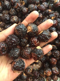 Nước rửa bát enzym bồ hòn quế