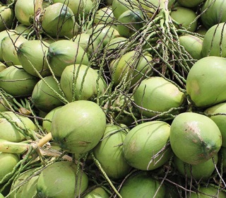 Nước màu dừa nguyên chất. 500ml