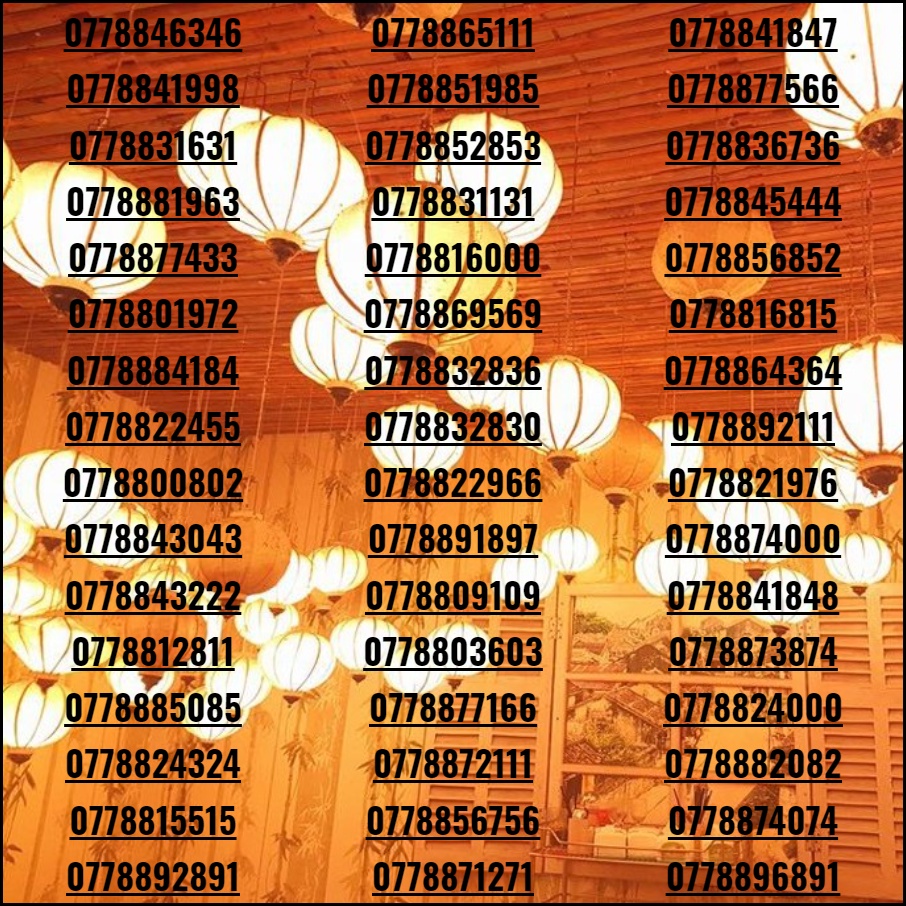 Sim hợp tuổi khuyển mãi 4G vĩnh viễn dành dân làm ăn kinh danh