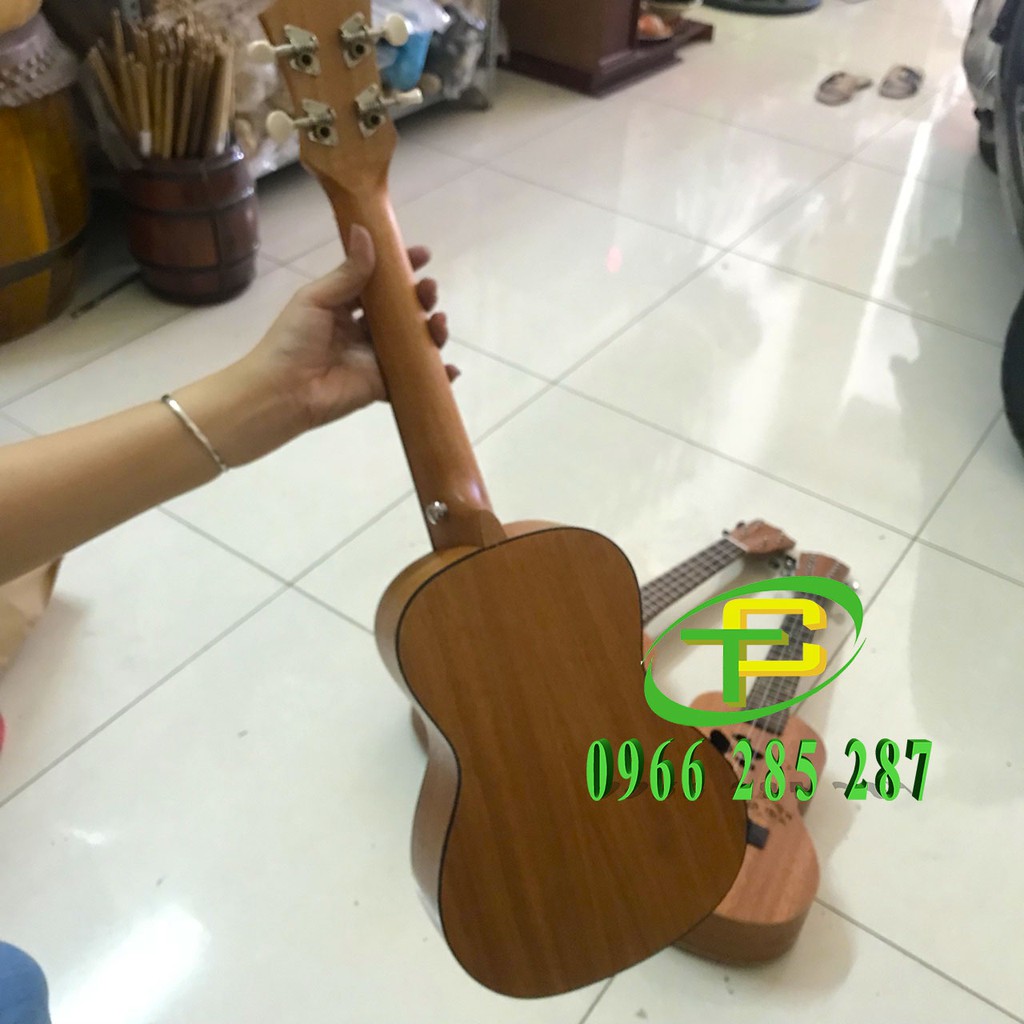 Đàn ukuele Acar concert size 23 mặt thông(tặng bao, phím, 1 dây sơ cua)