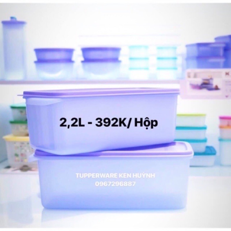 tupperware lẻ hộp mát stak n stor / funtastic / freshia