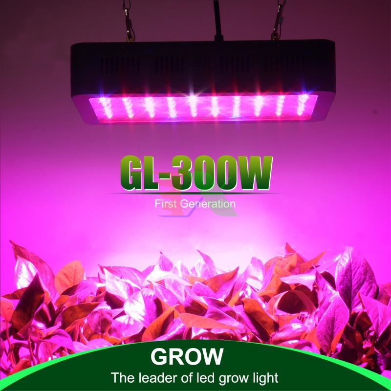 Đèn Led trồng cây 300W