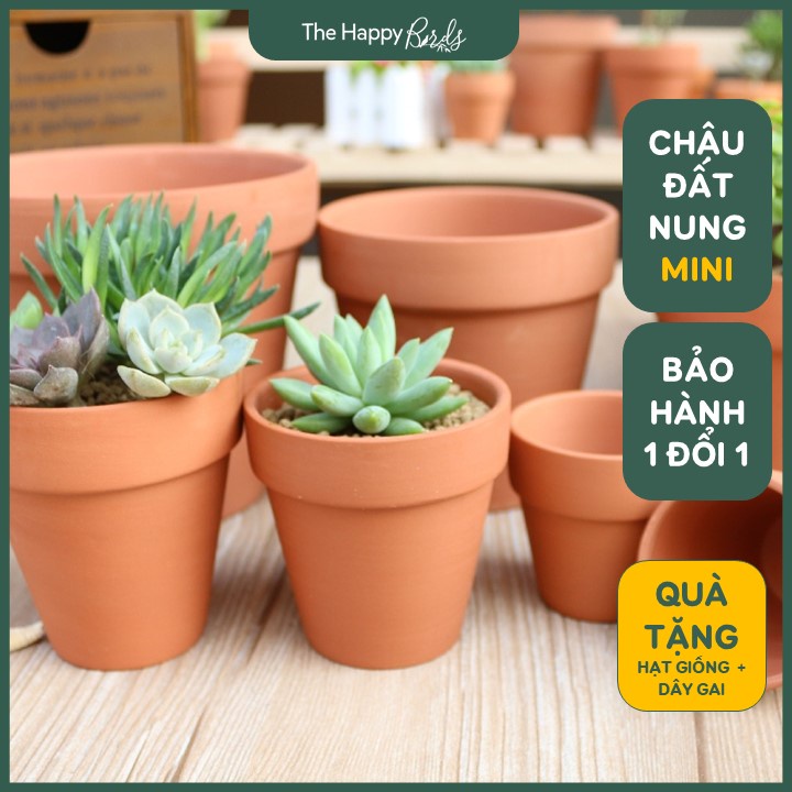 Chậu đất nung trồng sen đá xương rồng tiểu cảnh Bát Tràng để bàn ban công màu nâu, trắng 6x6, 8x8, 10x10