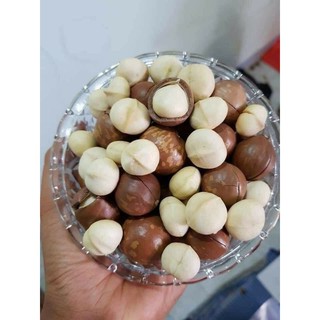 AVMM | Hạt mắc ca macca