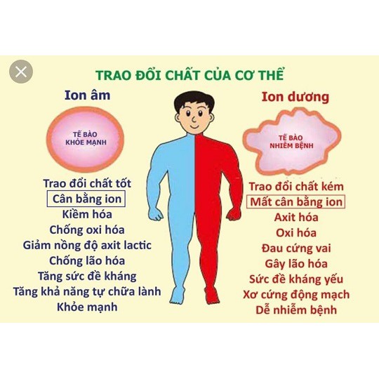 [Nút Dán Điện Thoại Giảm Vô Sinh Nam Giới] Cation Shield, Bảo Vệ Mắt,Não ,Chắn,Giảm Bức Xạ Sóng Điện Từ, Bảo Hành 7 Năm