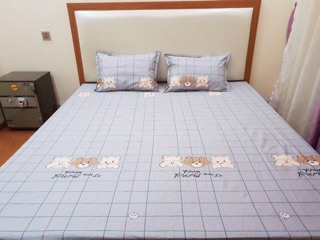 Ga chống thấm Goodmama ( 1.6m)