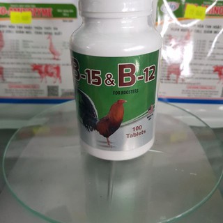 B15 B12 Thuốc nuôi gà đá hỗ trợ tăng nước máu cho gà, chiến kê tỉnh táo, gà đá không chạy, Gà Đá Bo Lớn