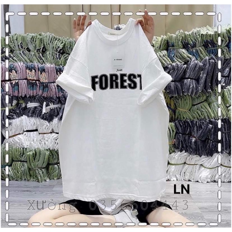 Áo phông chữ FOREST DA6