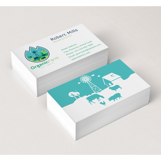 In Name Card | Danh Thiếp | Card Visit