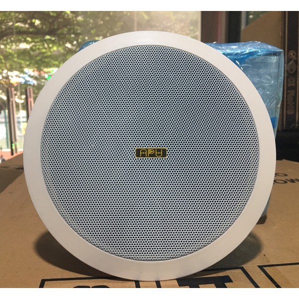 Loa Âm Trần Nghe Nhạc APU 805