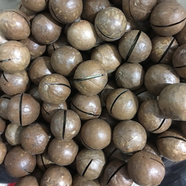 Quả mắc ca (1kg )