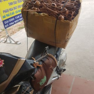 Gáo múc rượu dừa