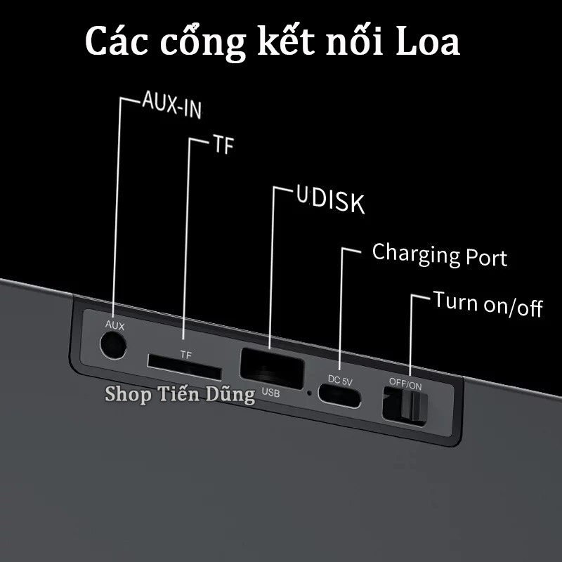 Loa Karaoke YS 205 Kèm 2 Micro Không Dây - Loa Bluetooth YS205 Hỗ Trợ USB, Thẻ Nhớ TF, Cổng AUX 3.5 Âm Thanh Chất Tốt