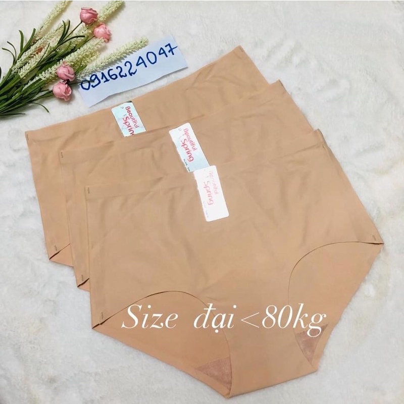 Set 5 quần lót nữ size đại, quần lót nữ su đúc không viền mông