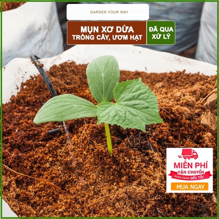 ⚡Ship Hỏa Tốc⚡ Giá Thể Mụn Dừa Sfarm Đã Qua Xử Lí Mầm Bệnh  - An An Saigon