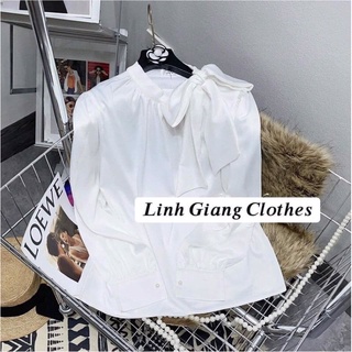 Áo sơ mi lụa nơ