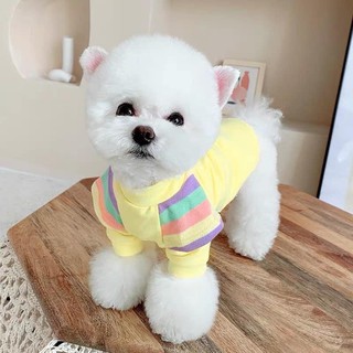 Áo cho thú cưng