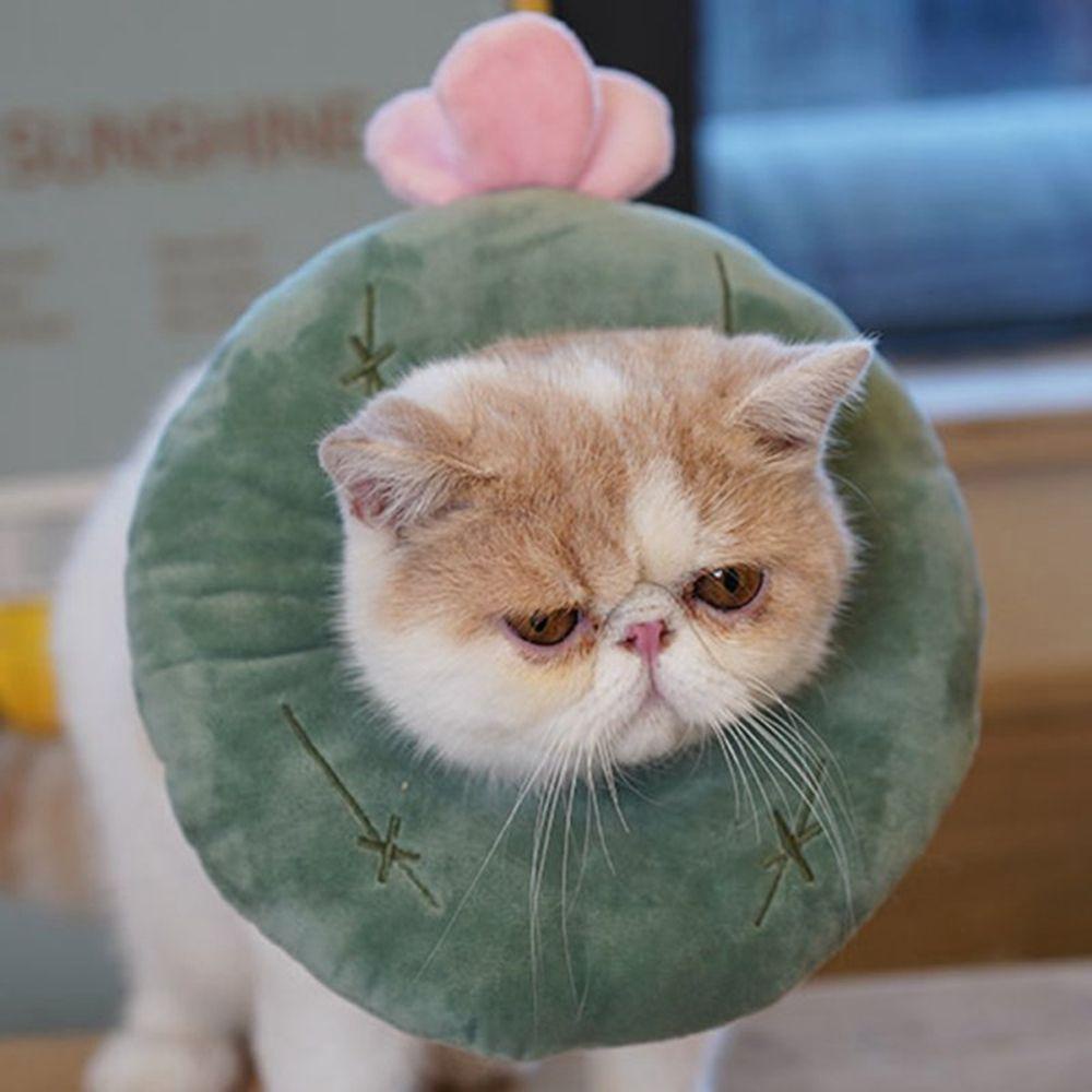 Vòng Cổ Hình Nón Mềm Mại Có Thể Điều Chỉnh Dành Cho Thú Cưng