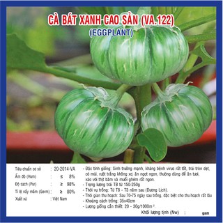Hạt giống cà bát xanh cao sản (VA.122)